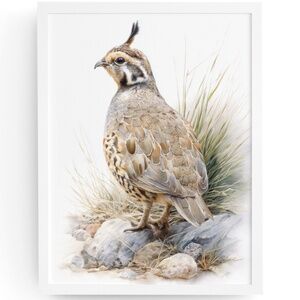 Watercolor Quail Wall Art Print, Unframed - Vibrant Nature-Inspired Home Decor